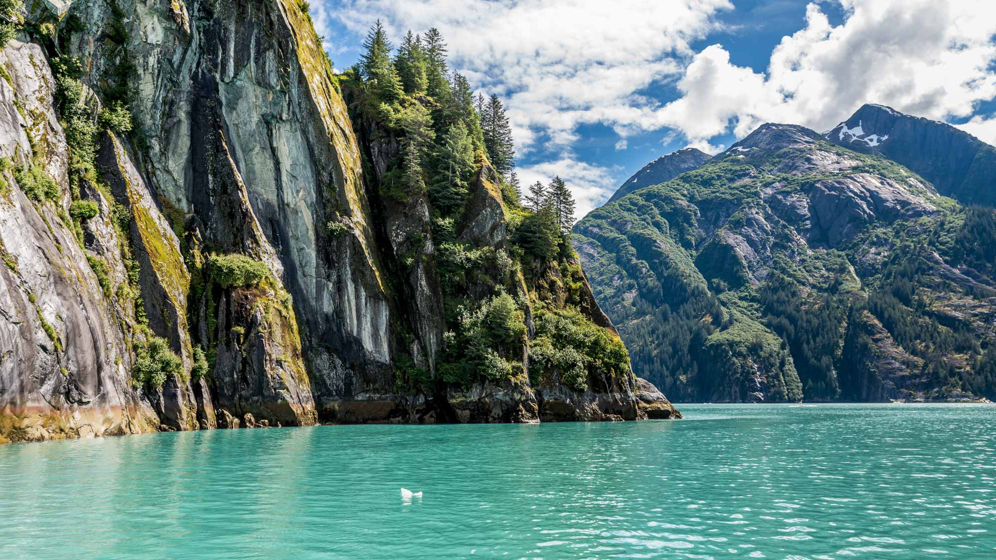 tracy arm tours juneau ak