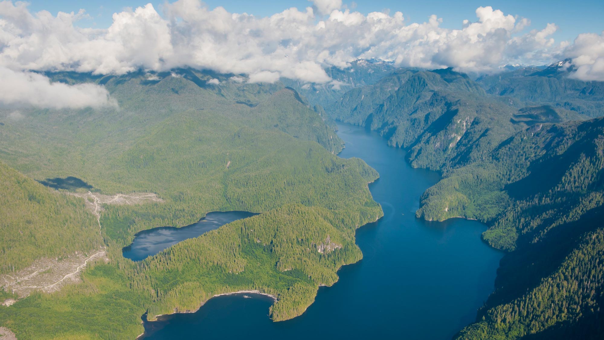 Great Bear Rainforest 5 nights Infinity Yacht Charters